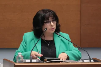 Теменужка петкова попиля пп-дб: 11 месеца кабинетът „желязков“ поправя грешки от последните 4 г.