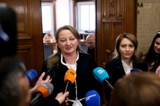 Деница сачева за радев: в политиката е важен екипът, не пилотът. Герб ще го оставим да се бори с реалността