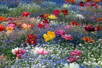 Ето кога се падат цветница и великден тази година