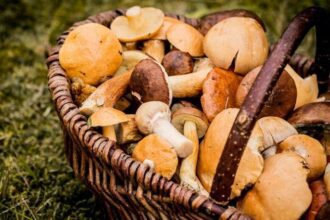 Избягвайте да миете тези храни преди готвене